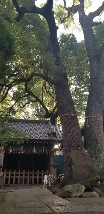 千住氷川神社(東京都)