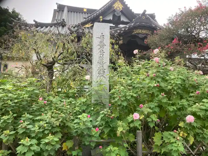 妙隆寺(神奈川県)