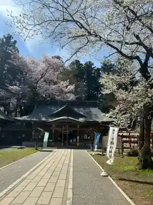 駒形神社の{uncategorized: "未分類", other: "その他", undefined: "問題あり", building: "その他建物", grave: "お墓", sacred_gate: "鳥居", guardian: "狛犬", statue: "像", buddha: "仏像", history: "歴史", nature: "自然", garden: "庭園", animal: "動物", pagoda: "塔", temizu: "手水舎", mountain_gate: "山門・神門", sanctuary: "本殿・本堂", subordinate: "末社・摂社", art: "芸術", scenery: "景色", jizo: "地蔵", ema: "絵馬", goshuin: "御朱印", omikuji: "おみくじ", items: "授与品その他", amulet: "お守り", goshuincho: "御朱印帳", eats: "食事", festival: "お祭り", votive_dance: "神楽", shichigosan: "七五三参", wedding: "結婚式", experience: "体験その他", initially: "初詣", around: "周辺", anti_infection: "感染症対策"}