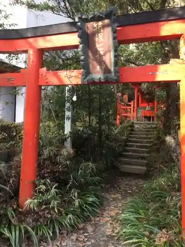 箱根神社の鳥居