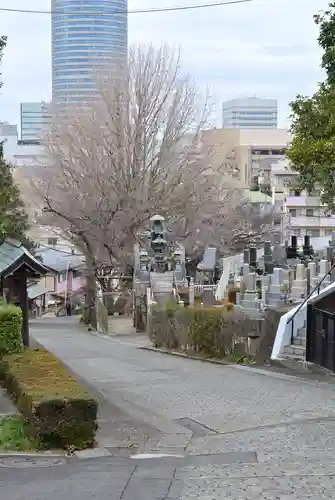 八幡山観音寺(神奈川県)