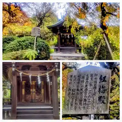 亀戸天神社(東京都)