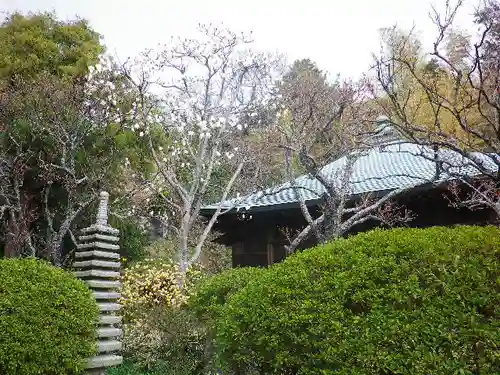 浄光明寺の庭園