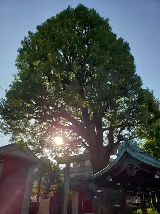 麻布氷川神社(東京都)