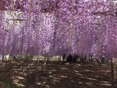 玉敷神社(埼玉県)