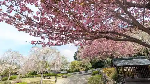 圓光寺(京都府)