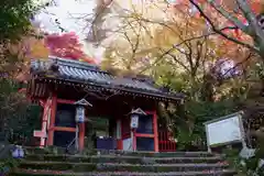 金蔵寺の山門