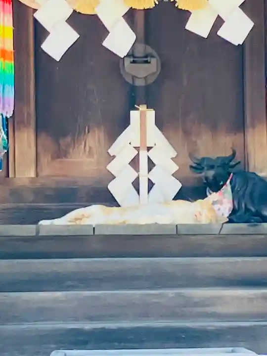 五泉八幡宮の動物