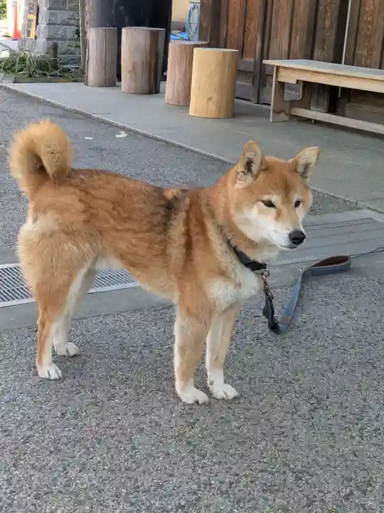 感通寺(東京都)
