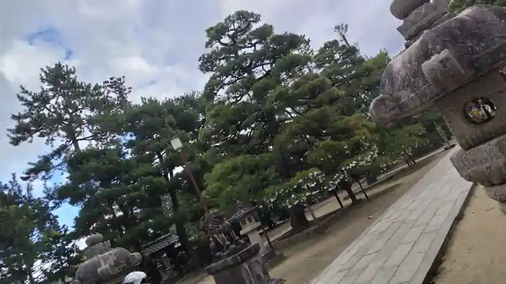 智恩寺(京都府)