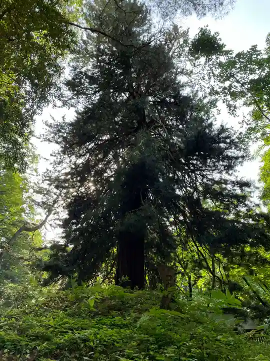 瑞鳳殿(宮城県)