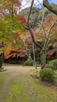勝持寺（花の寺）(京都府)