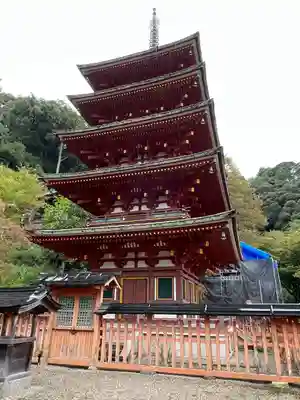 長谷寺(奈良県)