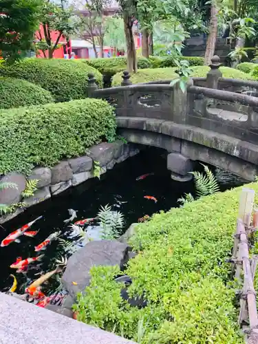 浅草寺の庭園