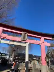 氷川神社の鳥居