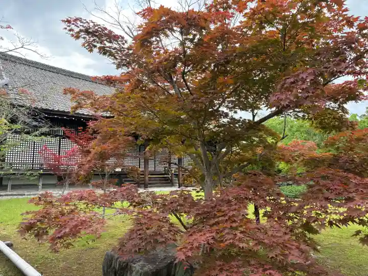 勧修寺(京都府)