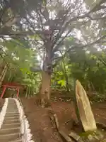 月山神社(岩手県)