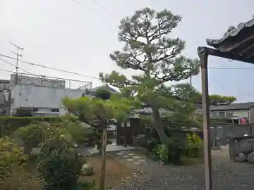 瑠璃光寺(京都府)