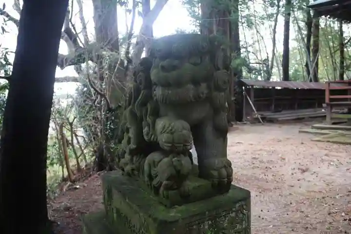 白幡神社の狛犬