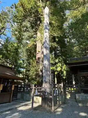 諏訪大社下社秋宮(長野県)