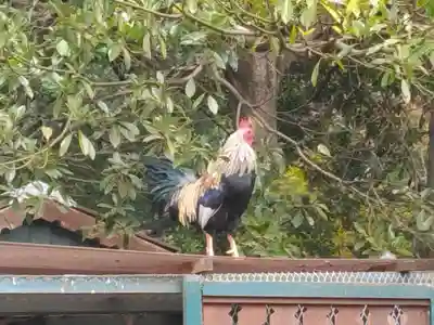 観音寺(神奈川県)