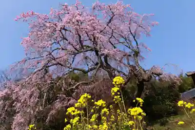 瑞雲寺(福島県)