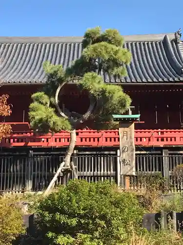 清水観音堂のその他建物