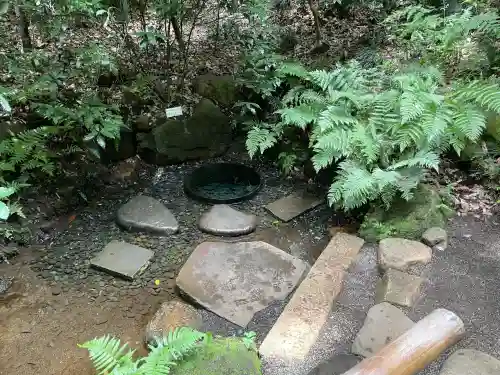 明治神宮(東京都)