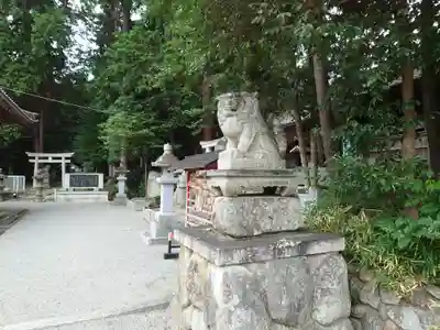 立志神社の狛犬