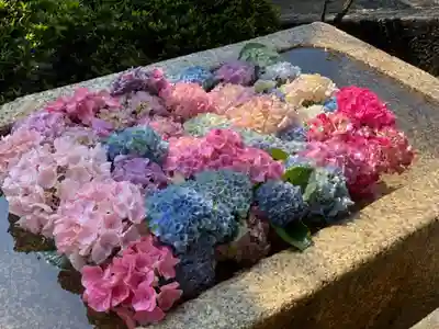 伊勢の国 四天王寺の手水舎