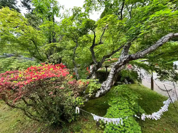 大原野神社(京都府)