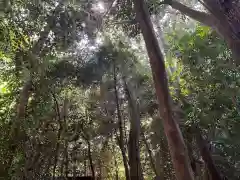 寒川神社(神奈川県)