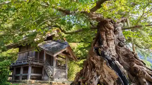神魂伊能知奴志神社(島根県)