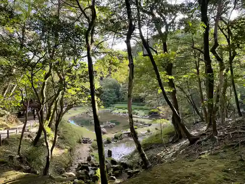 常栄寺の庭園