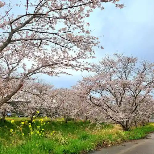 雨櫻神社(静岡県)