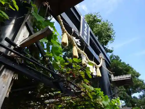 菊名神社の鳥居