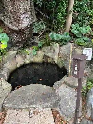 師岡熊野神社(神奈川県)
