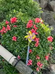 温泉神社〜いわき湯本温泉〜の建物その他