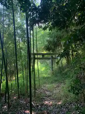 熊野大権現(千葉県)