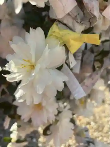 姫嶋神社(大阪府)