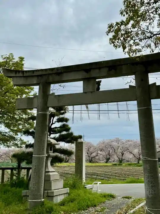 大池神社(京都府)