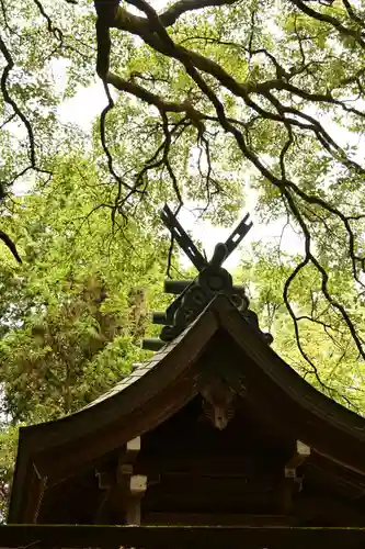 忌部神社(徳島県)