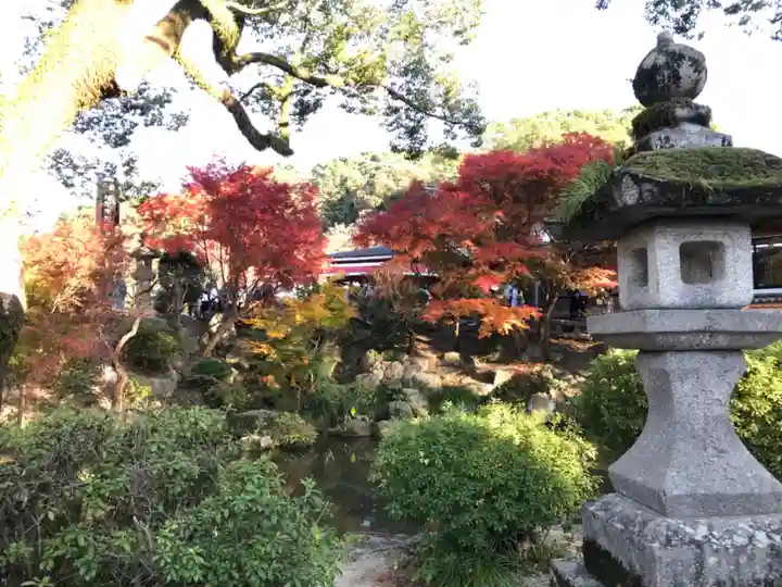 太宰府天満宮(福岡県)