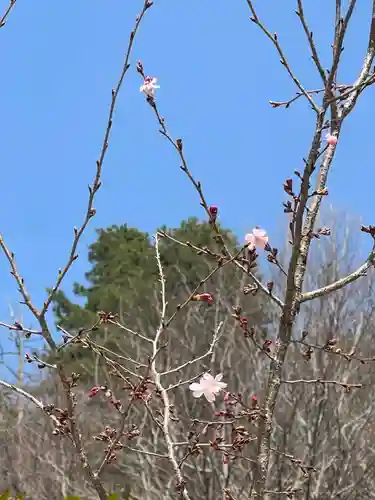国宝 大法寺(長野県)