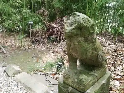 菊田神社の狛犬