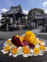 真言宗 善通寺派 薬王寺(香川県)