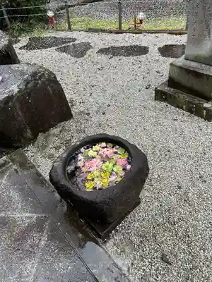 阿弥陀寺のその他建物
