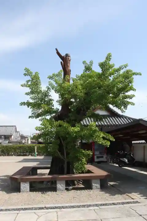 浄照寺(奈良県)