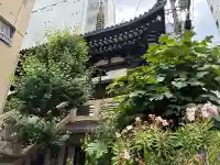 圓頓寺(大阪府)