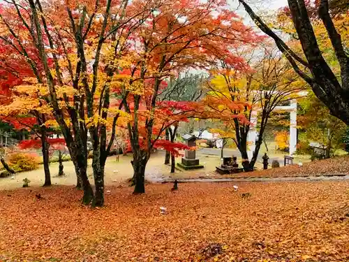 土津神社｜こどもと出世の神さまの景色